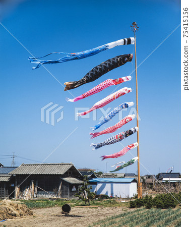 四國鯉魚旗 四國鯉魚旗 75415156