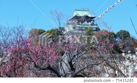 大阪城公園百林花園 大阪城公園百林花園 75415285