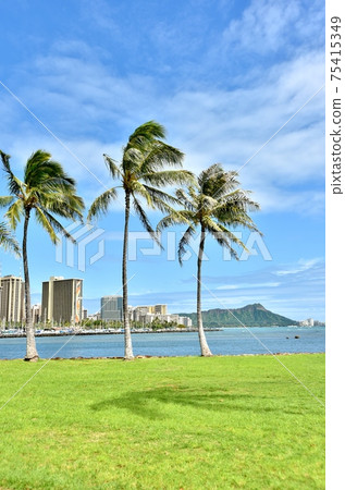 夏威夷的假期 75415349