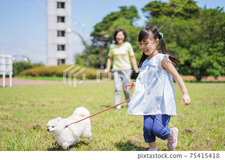 할머니와 강아지 산책을하는 어린 소녀 - 스톡사진 [75415418] - Pixta