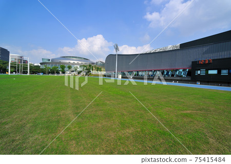 Sports field grass and urban building exterior Sports field grass and urban building exterior 75415484