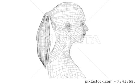 Wireframe portrait of a young beautiful girl Wireframe portrait of a young beautiful girl 75415683
