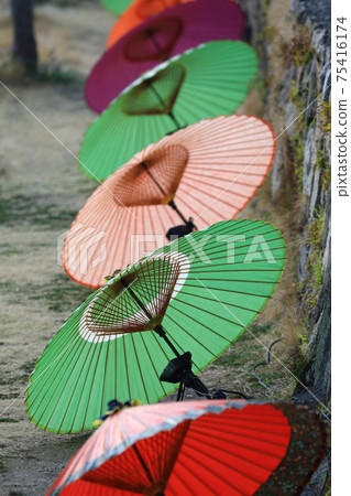 日本傘7390 75416174