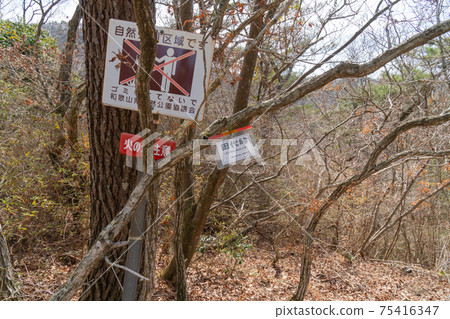 Tashiro Pass上龍門山(和歌山縣木川市) Tashiro Pass上龍門山(和歌山縣木川市) 75416347
