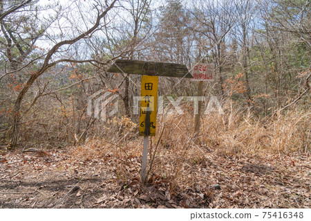 Tashiro Pass上龍門山(和歌山縣木川市) Tashiro Pass上龍門山(和歌山縣木川市) 75416348