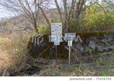 龍門山(和歌山縣木川市)的田代路線尾標 龍門山(和歌山縣木川市)的田代路線尾標 75416350