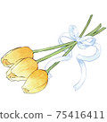 Bouquet of yellow tulips bundled with a white ribbon 75416411