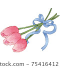 Bouquet of red tulips bundled with a blue ribbon 75416412