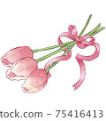 A bouquet of pink tulips bundled with a pink ribbon 75416413