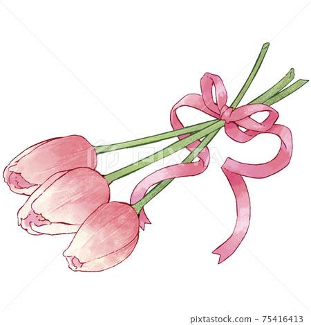 一束粉紅色的鬱金香,用粉紅絲帶捆綁 一束粉紅色的鬱金香,用粉紅絲帶捆綁 75416413
