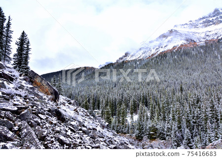 加拿大落基山脈 75416683