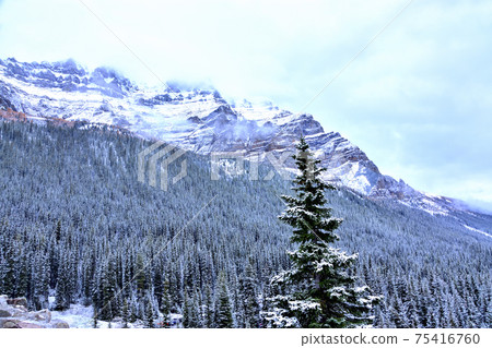 Canadian Rockies Canadian Rockies 75416760