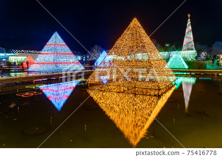 Illuminations at Ashikaga Flower Park with a pyramid in Ashikaga City, Tochigi Prefecture 75416778