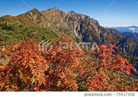 Rowan leaves and Kashima Atsugatake Rowan leaves and Kashima Atsugatake 75417308