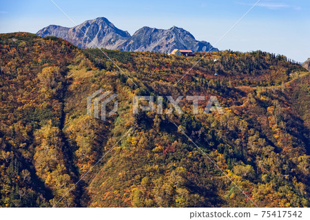 Helicopter and Harinokidake for unloading to Taneike Sanso in the autumn-colored Northern Alps 75417542