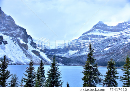 Crowfoot Glacier and Bow Lake Crowfoot Glacier and Bow Lake 75417610