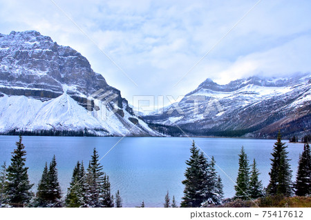 Crowfoot Glacier and Bow Lake 75417612