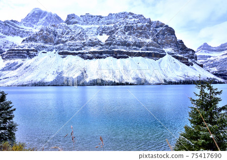 Crowfoot Glacier and Bow Lake 75417690