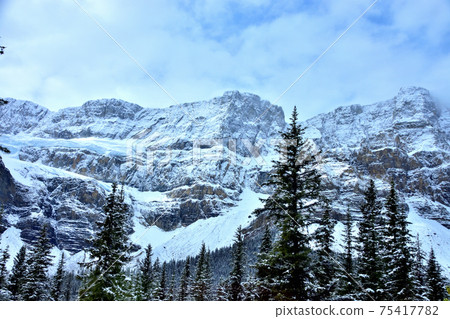 Crowfoot Glacier and Bow Lake 75417782