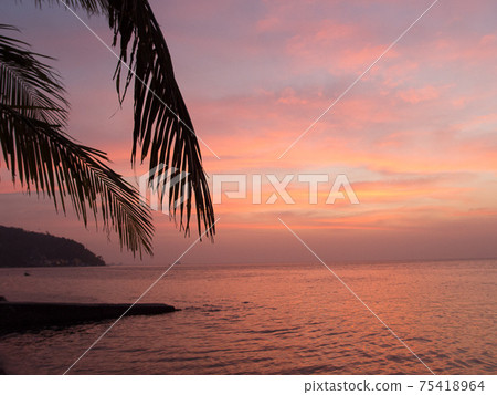 阿尼洛日落和棕櫚樹 75418964