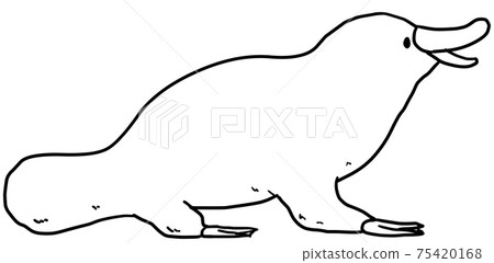 Simple platypus line art illustration - Stock Illustration [75420168 ...