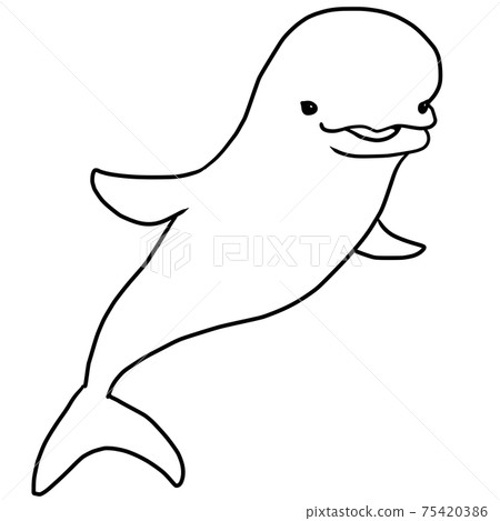 Simple beluga line art illustration - Stock Illustration [75420386] - PIXTA