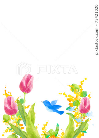Frame of blue birds, tulips and mimosas carrying happiness with a gentle touch Frame of blue birds, tulips and mimosas carrying happiness with a gentle touch 75421020