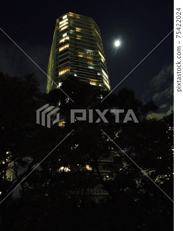 Tower apartment, night sky and moon 75422024