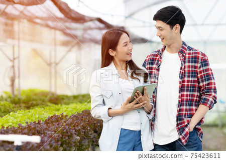 Smart young asian farmer  using tablet to check quality and quantity of organic hydroponic vegetable garden at greenhouse 75423611