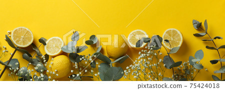 Eucalyptus branches, lemons and gypsophila on yellow background 75424018