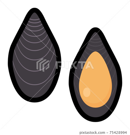 Simple and cute mussel illustration 75428994