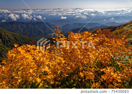 Mountain range in the direction of Mt. Asama seen from the Kashimayarigadake ridgeline of autumn leaves Mountain range in the direction of Mt. Asama seen from the Kashimayarigadake ridgeline of autumn leaves 75430083