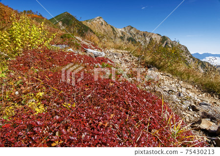 垂直跑道和鹿島屋立嶽山頂上的金格魯瑪秋葉 75430213