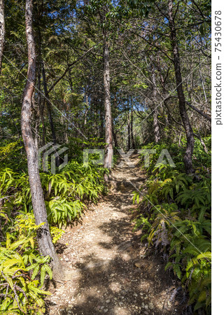 Mirokusan, Kasugai City, Aichi Prefecture 75430678