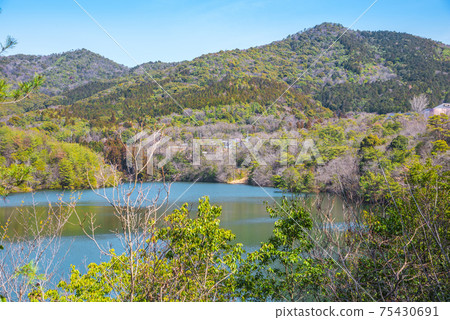Aichi Prefecture Kasugai City Tsukimizu Pond 75430691
