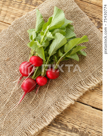 Ripe red radishes with green leaves on sackcloth and wooden boards. Ripe red radishes with green leaves on sackcloth and wooden boards. 75430774