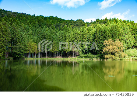 Ryuogabuchi, a mysterious space nestled in secret Ryuogabuchi, a mysterious space nestled in secret 75430839