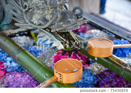 Yanagitani Kannon Flower Hand Water 75430859