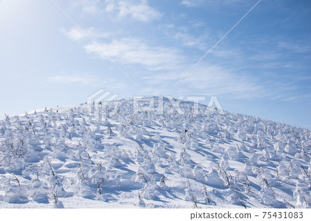 Zao's ice crystal Zao's ice crystal 75431083