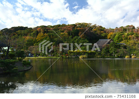 Yokohama Sankeien Garden 75431108