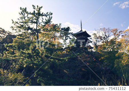 橫濱三溪園 橫濱三溪園 75431112