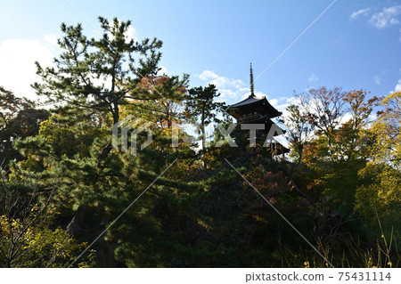 橫濱三溪園 75431114