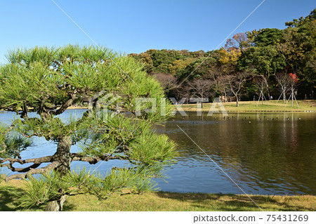 橫濱三溪園 橫濱三溪園 75431269