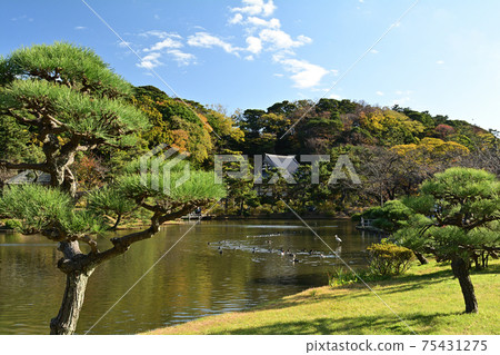 Yokohama Sankeien Garden Yokohama Sankeien Garden 75431275
