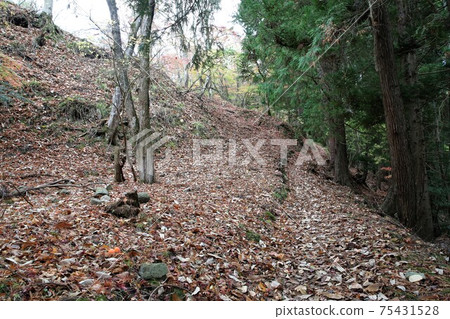 Yagi Castle 75431528