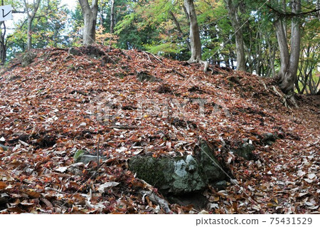 Yagi Castle 75431529