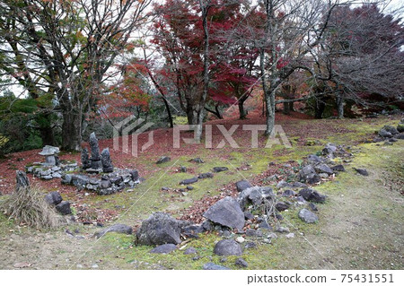 八木城 八木城 75431551
