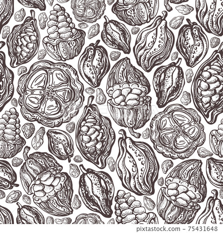 Cacao bean seamless pattern. Vector exotic fruit 75431648