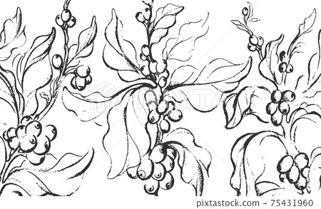 Coffee sketch. Vector. Tropical food, plantation 75431960