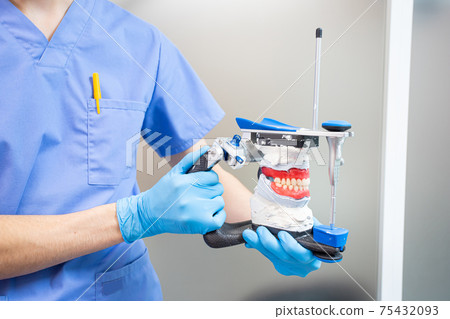 The dentist holds a dental articulator in his hands for the correct bite. 75432093